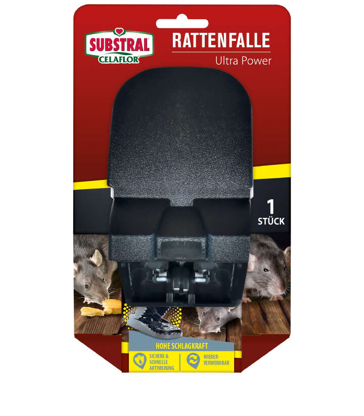 SUBSTRAL Celaflor Rattenfalle Ultra Power